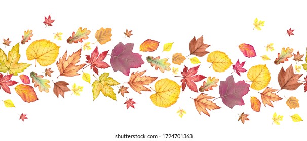 3,804 Watercolor autumn leaves seamless border Images, Stock Photos ...