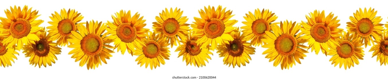 7,429 Frieze white background Images, Stock Photos & Vectors | Shutterstock