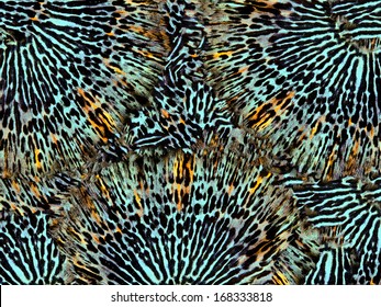 Seamless Butterfly Wing Pattern 