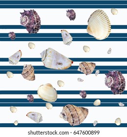 Seamless continuous background with seashells