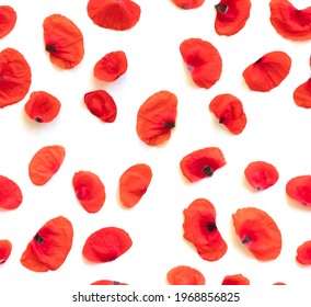 Seamless floral pattern red Poppy flower petals, poppies isolated on white background, tracing,
