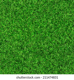 Seamless Grass Texture