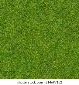 Seamless Grass Texture