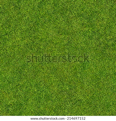 seamless grass texture