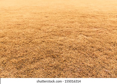 Seamless Green Grass Field Perspective Background Texture