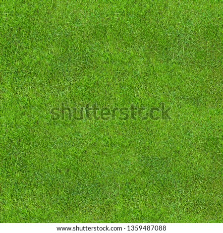Seamless Green Lush Grass Texture. Fresh Backdrop.