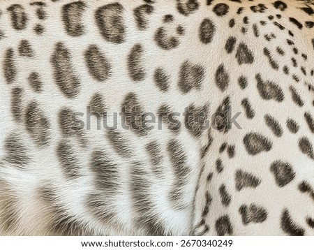 Seamless Leopard Skin Background Texture