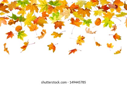 Seamless Pattern Of Autumn Leaves, Falling Down.