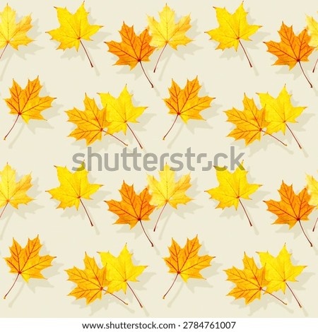 Seamless pattern of autumn yellow maple leaves with natural texture as background. Fall colors aesthetic backdrop with yellow orange leaves, autumnal foliage, seasonal atmosphere, nature concept.