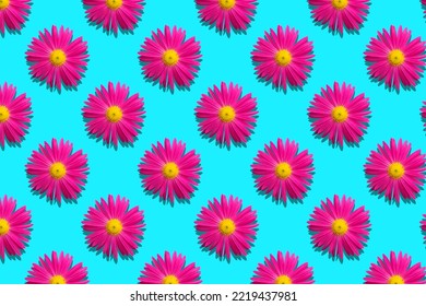 Seamless Pattern Background Pink Tansy Flower Bud Isolated On Blue Background.