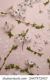 Seamless pattern of cherry tree blossom on a soft pink background. Flat lay. Top view.	