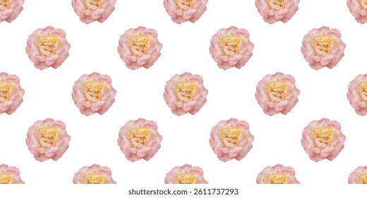 Seamless pattern featuring delicate pink roses, creating a romantic and elegant design