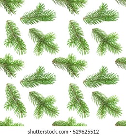 Seamless pattern of fir tree branches isolated on white background, with clipping path