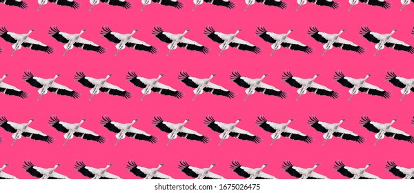 Seamless Pattern.  Flying bird background