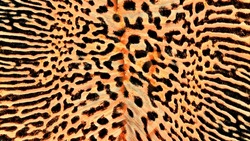 Seamless Pattern With Leopard Skin Print, Indulge In The Luxurious Allure Of Nature's Most Exquisite Patterns With This Striking Leopard Skin Texture Image. Captured In High-resolution Detail