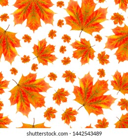 Seamless Pattern Maple Leaves Isolated On Stock Photo 1442543489 ...