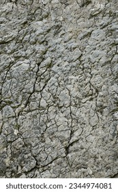 Seamless pattern of a mountain boulder, rock texture that can be repeated, close up