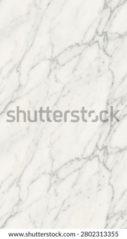 Seamless pattern of professional seamless tileable pattern natural