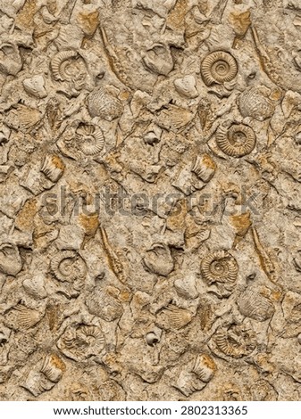 Seamless pattern of professional seamless tileable pattern natural