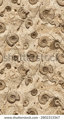 Seamless pattern of professional seamless tileable pattern natural