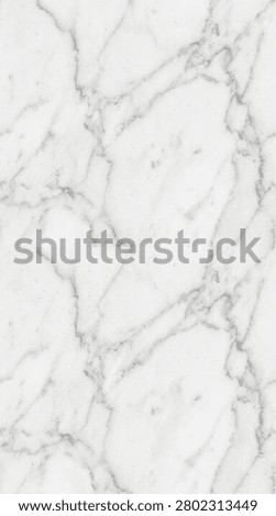 Seamless pattern of seamless tileable pattern carrar