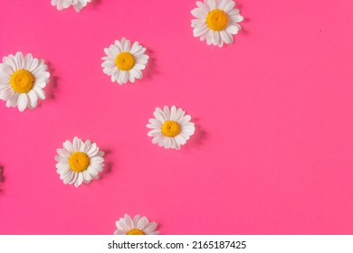 28,244 Crimson and white flowers Images, Stock Photos & Vectors ...