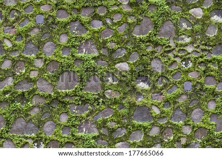 Seamless pavement stones and grass texture