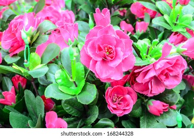 Seamless Pink Fabric Roses Background Stock Photo 168244328 | Shutterstock