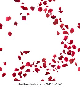 seamless, red rose petals breeze, studio photographed in depth of field, isolated on white - Shutterstock ID 241454161