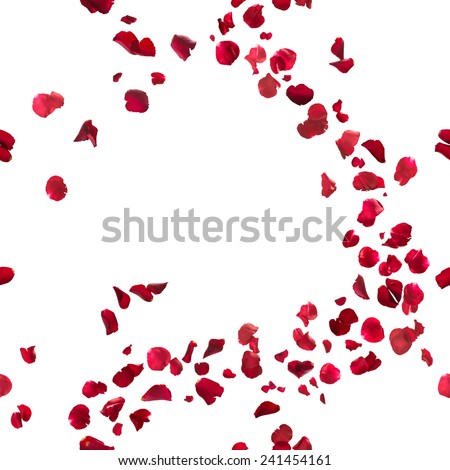 seamless, red rose petals breeze, studio photographed in depth of field, isolated on white