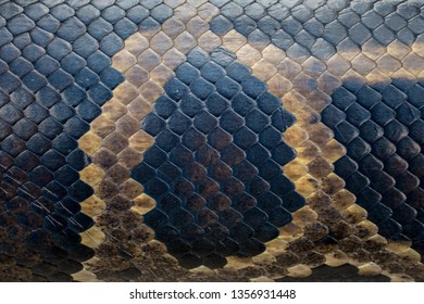 Seamless Snakeskin Pattern Textures Snakeskin Used Stock Photo ...