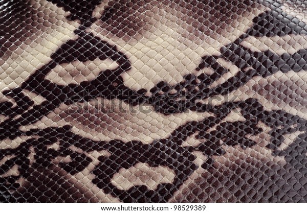 Seamless Texture Background Brown Snake Leather Stock Photo 98529389 ...