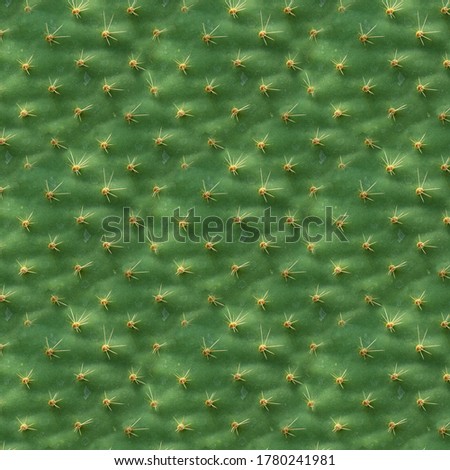 Seamless texture. Cactus leaf structure as background or wallpaper