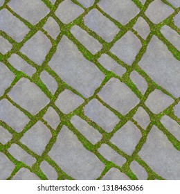 Seamless texture of green grass between the road tiles. Green grass grow between the tiles of the walkway. The concept of harmonious fusion of the city and nature. 4 fragments in one frame