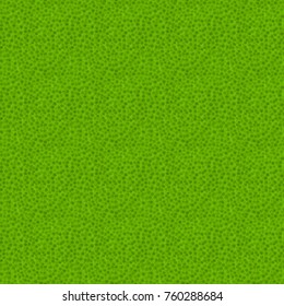 Seamless Texture Of Lime Skin