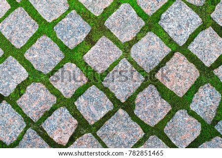 Seamless texture of a paving stone track on a green grass.