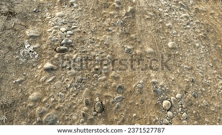 Seamless texture of podzol soil with pebbles in HDR mode for game design