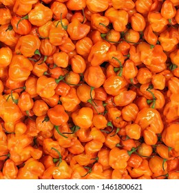 316,839 Oranges pepper Images, Stock Photos & Vectors | Shutterstock