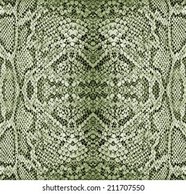 Seamless Texture Snake Skin Stock Photo 211707550 | Shutterstock