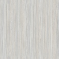Seamless Texture - Wood Veneer -white Elm 21 - Seamless - Tile Able - Real Size 60x60cm