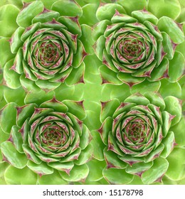 A seamless tile pattern background, of the green leaves of a plant.