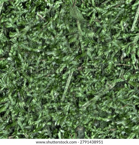 Seamless tileable texture of green moss, a natural moss surface ideal for backgrounds, design and 3D rendering