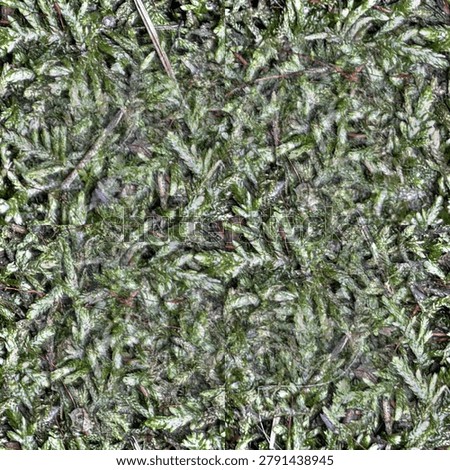 Seamless tileable texture of yellow moss, a natural moss surface ideal for backgrounds, design and 3D rendering
