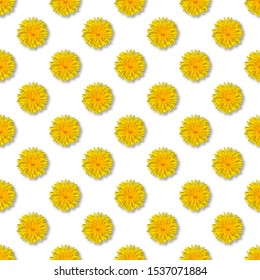 Seamless Yellow Flower Patterm. Dandelion Flower Summer Background Close Up.