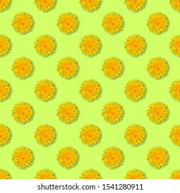 Seamless Yellow Flower Patterm. Dandelion Flower Summer Background Close Up.