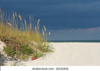 Seaoats Framing Gulf Of Mexico. Madeira Beach Florida