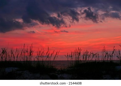 Seaoats And Sky On Florida's Gulf Coast