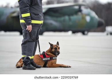 Search and rescue canine team ready for action 
