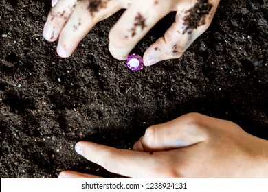 Searcher Hands Holding A Diamond In The Soil Ground