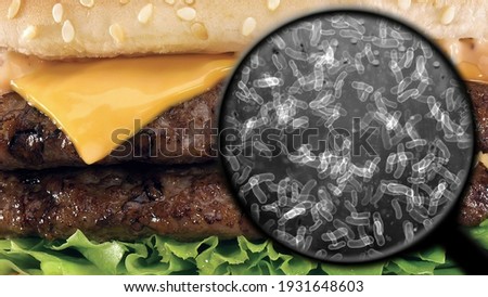 Searching for bacteria in burger